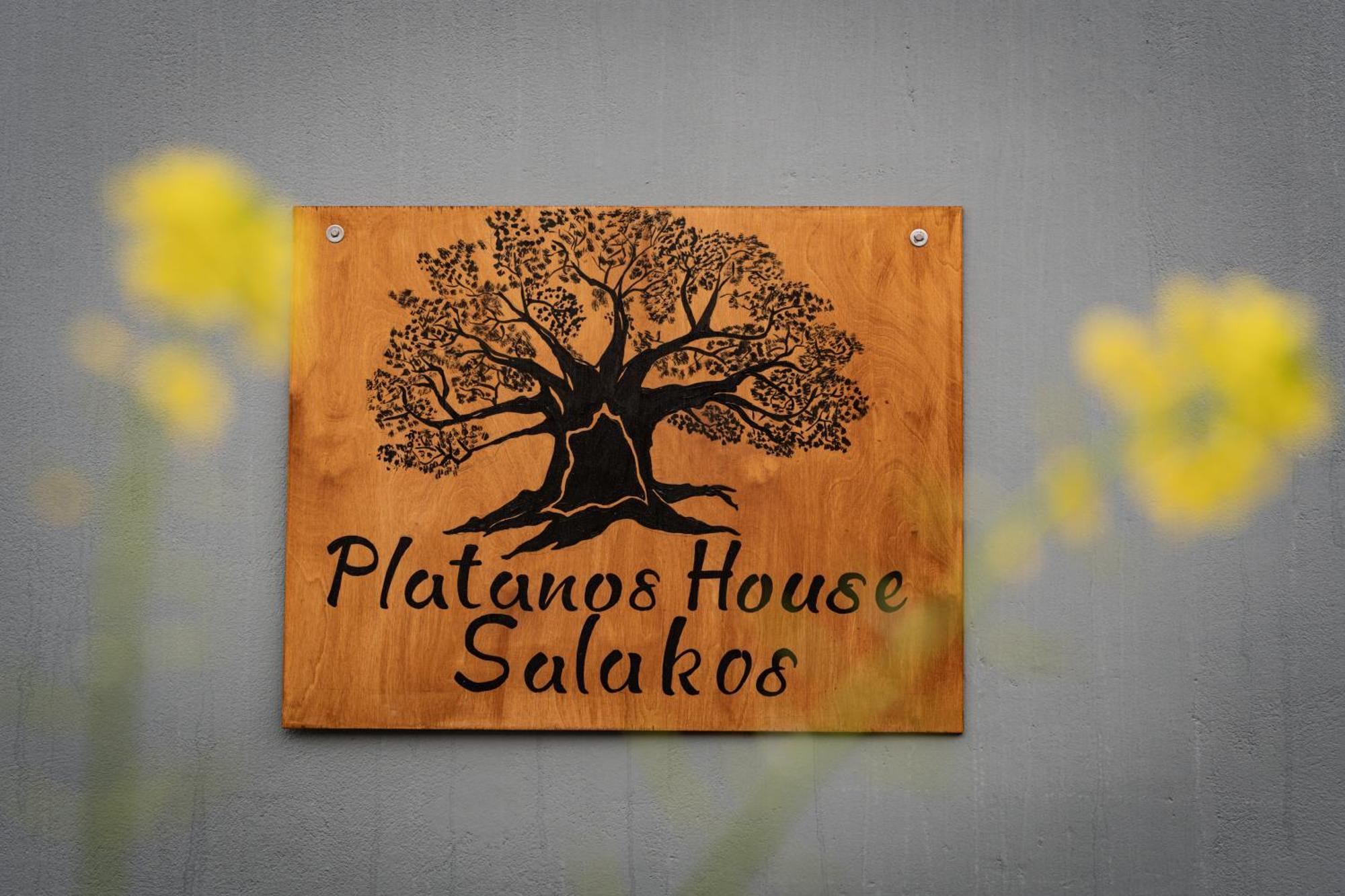 Ferienhaus Platanos House